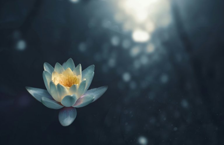 Zoltan tasi vHnVtLK8rCc unsplash