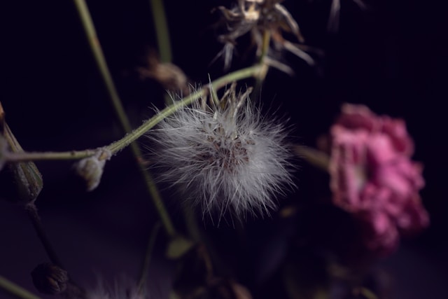 Sara ruiz vj3M8u76Goc unsplash