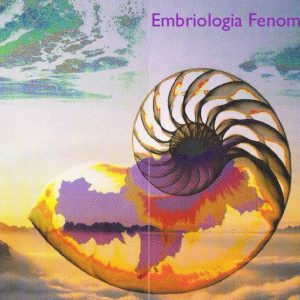 embriologia-fenomenologica Embriologia fenomenologica