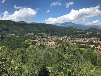 image1 Image1
