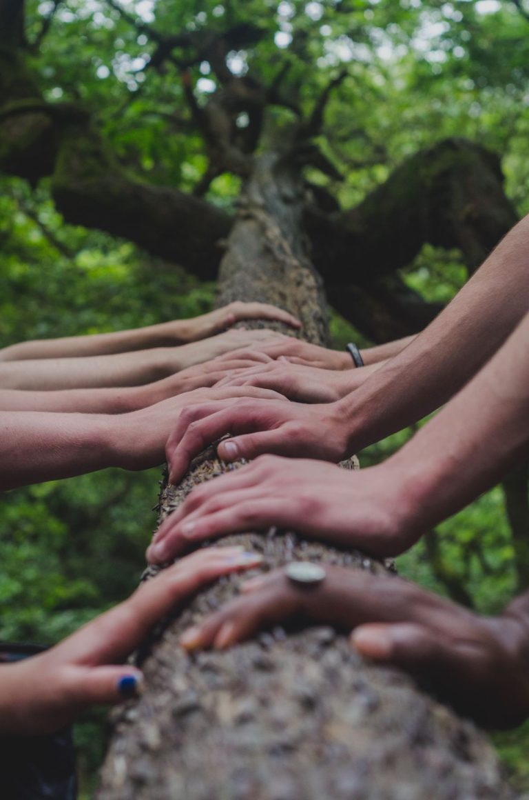 5 gesti Foto di Shane Rounce su Unsplash
