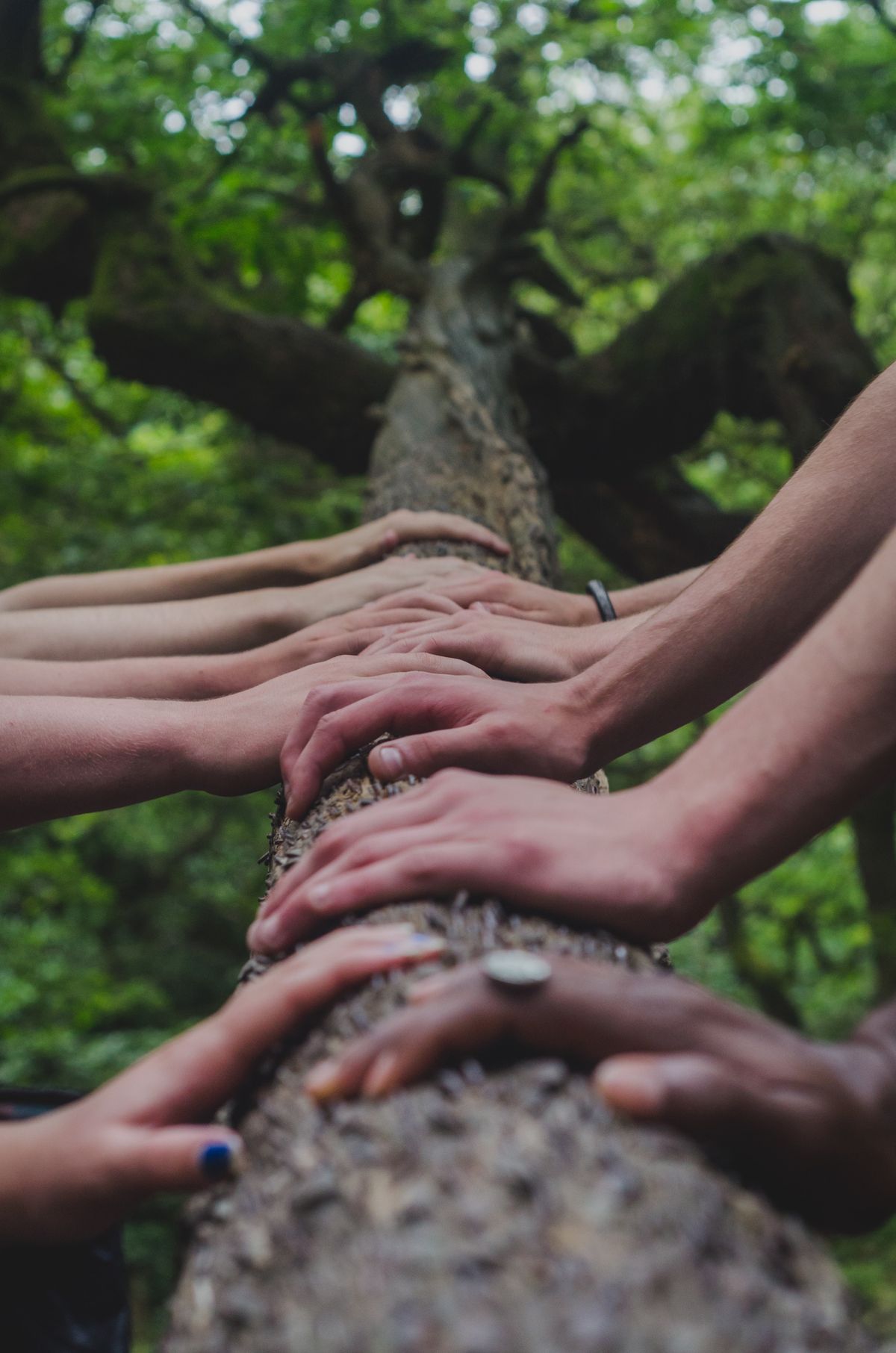 5 gesti Foto di Shane Rounce su Unsplash