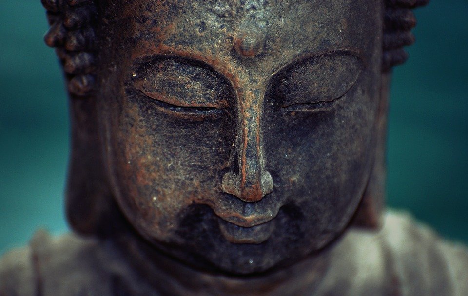 Zen 509371 960