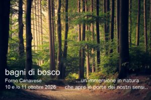 Bagni di Foresta