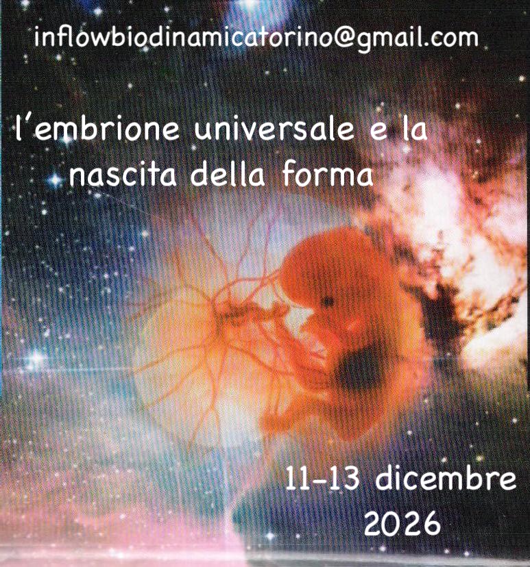 Embrio universale